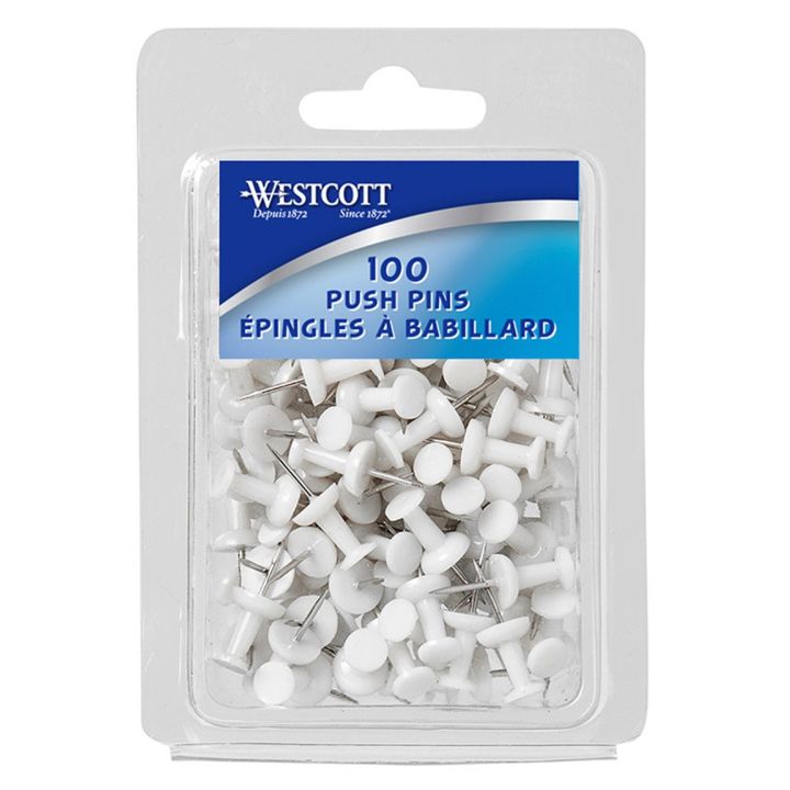 Bte 100 épingles blanches