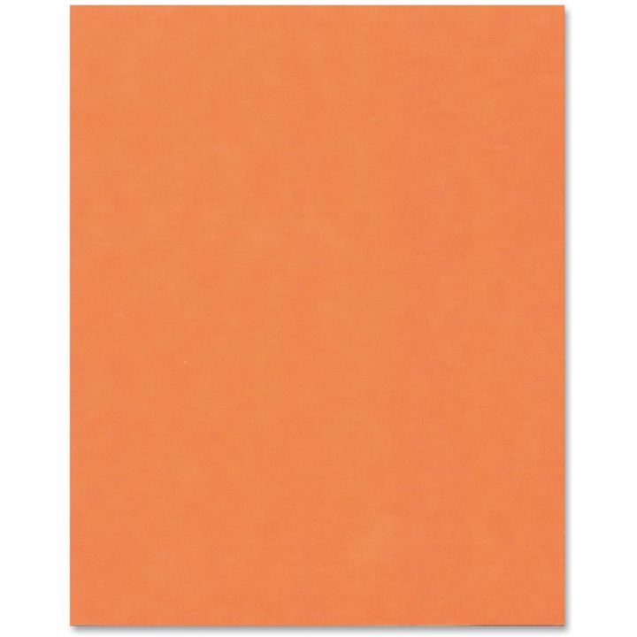 Carton bristol 22 x 28, orange Fluorescent