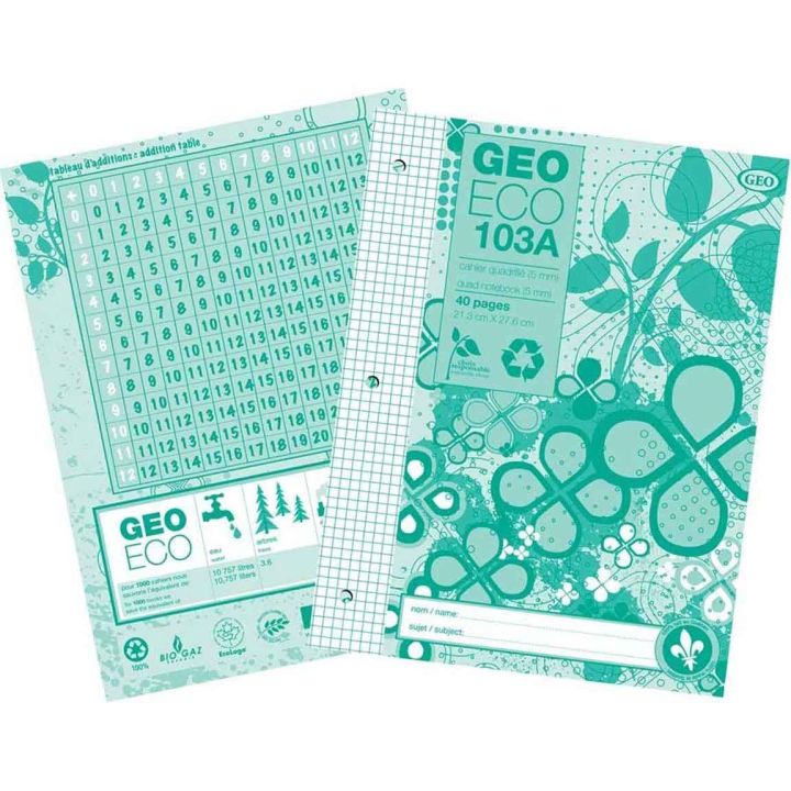 Cahier GeoEco 103A, quadrillé 0,5 cm