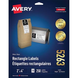 Étiquettes blanches 4 x 2”, 25 feuilles (250)