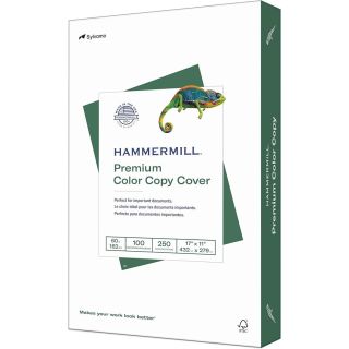 Pqt 250 cartons Hammermill, 11 x 17, 60 lb, blanc